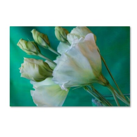 Trademark Fine Art Bob Rouse 'Four Buds Plus' Canvas Art, 16x24 ALI16272-C1624GG